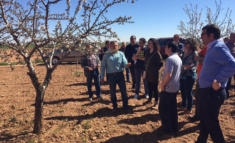Curso de poda de almendro de 1 a 3 años