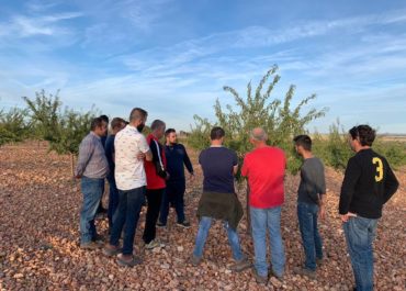 Prunotec ha realizado unas jornadas formativas sobre el cultivo del almendro y pistacho